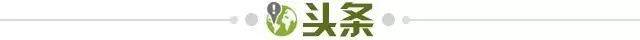 开云-【早报】logo男去世！别了，人生的FMVP！